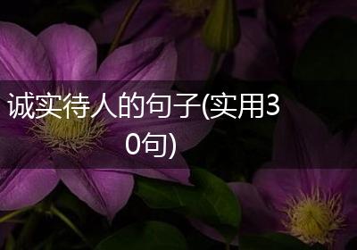诚实待人的句子(实用30句)