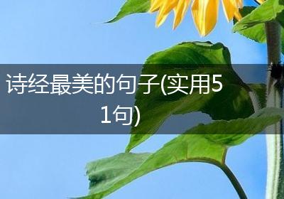 诗经最美的句子(实用51句)