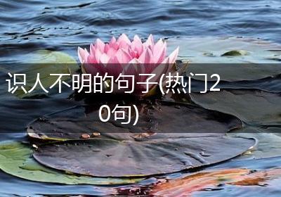 识人不明的句子(热门20句)