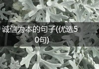 诚信为本的句子(优选50句)