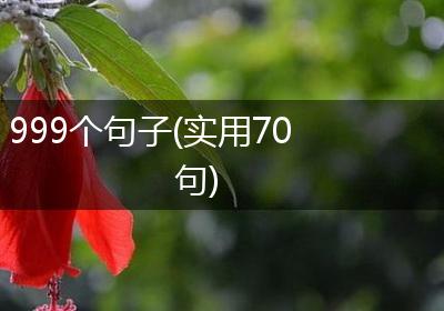 999个句子(实用70句)