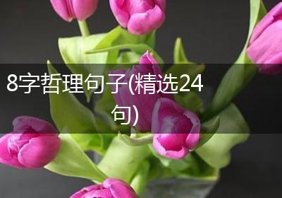 8字哲理句子(精选24句)