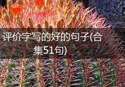 评价字写的好的句子(合集51句)