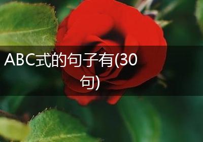 ABC式的句子有(30句)