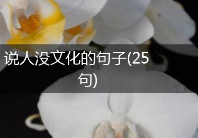 说人没文化的句子(25句)