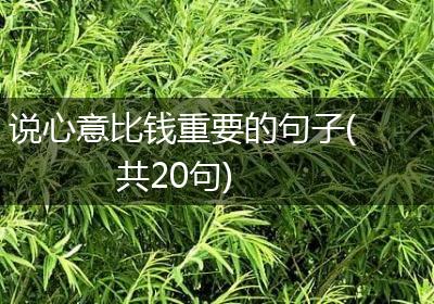 说心意比钱重要的句子(共20句)