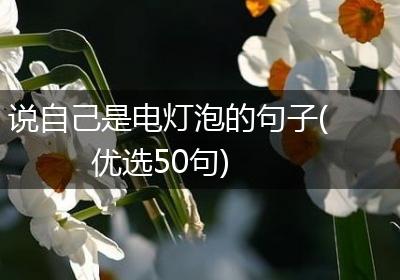 说自己是电灯泡的句子(优选50句)