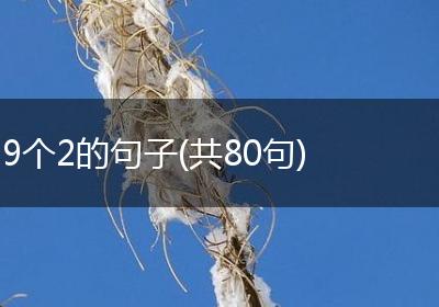 9个2的句子(共80句)