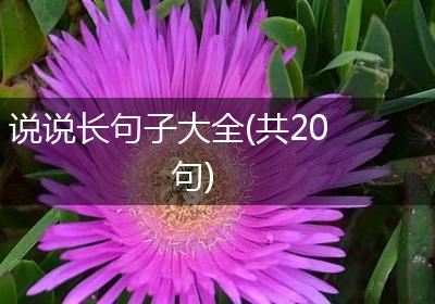 说说长句子大全(共20句)