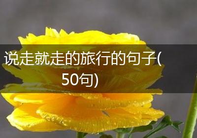 说走就走的旅行的句子(50句)