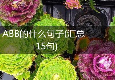 ABB的什么句子(汇总15句)