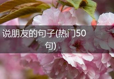 说朋友的句子(热门50句)