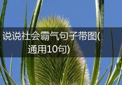 说说社会霸气句子带图(通用10句)