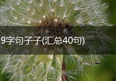 9字句子子(汇总40句)