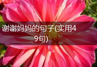 谢谢妈妈的句子(实用49句)