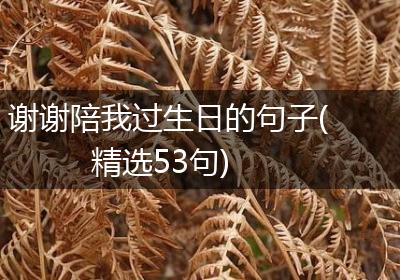 谢谢陪我过生日的句子(精选53句)
