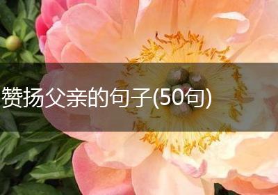 赞扬父亲的句子(50句)