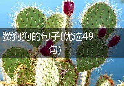 赞狗狗的句子(优选49句)