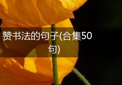 赞书法的句子(合集50句)