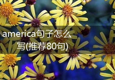 america句子怎么写(推荐80句)