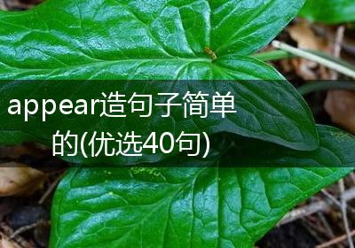 appear造句子简单的(优选40句)