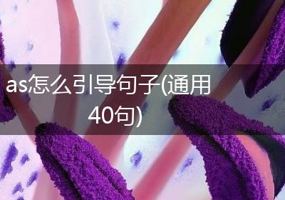 as怎么引导句子(通用40句)