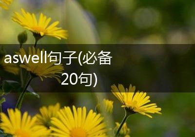 aswell句子(必备20句)
