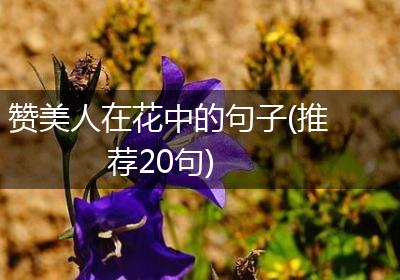 赞美人在花中的句子(推荐20句)
