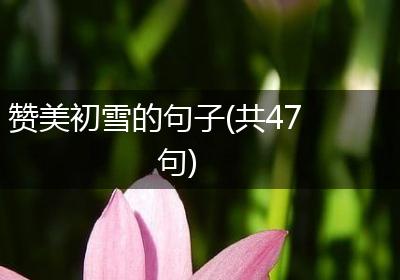 赞美初雪的句子(共47句)