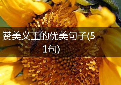 赞美义工的优美句子(51句)