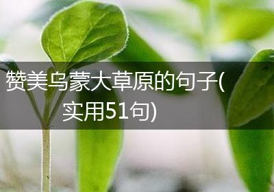 赞美乌蒙大草原的句子(实用51句)