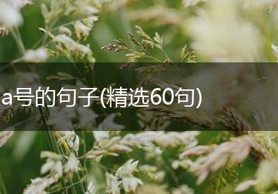 a号的句子(精选60句)