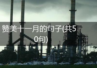 赞美十一月的句子(共50句)