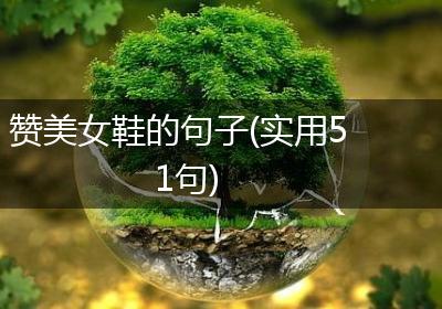 赞美女鞋的句子(实用51句)
