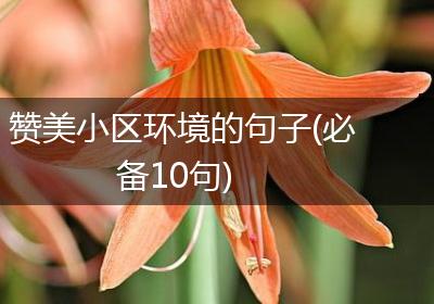 赞美小区环境的句子(必备10句)