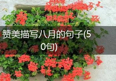 赞美描写八月的句子(50句)