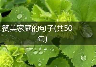 赞美家庭的句子(共50句)