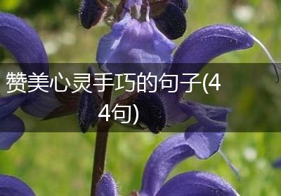 赞美心灵手巧的句子(44句)