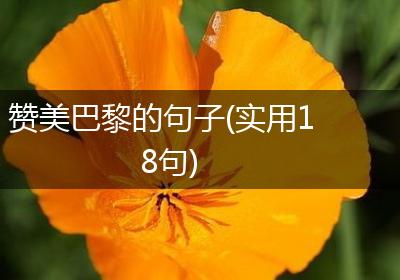 赞美巴黎的句子(实用18句)
