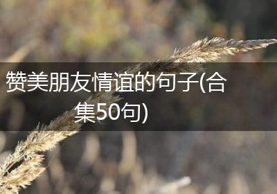 赞美朋友情谊的句子(合集50句)