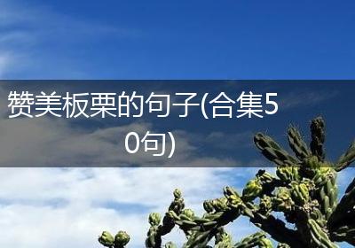 赞美板栗的句子(合集50句)
