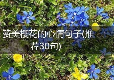 赞美樱花的心情句子(推荐30句)