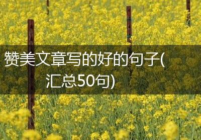 赞美文章写的好的句子(汇总50句)