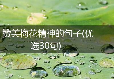 赞美梅花精神的句子(优选30句)