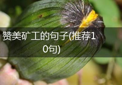 赞美矿工的句子(推荐10句)