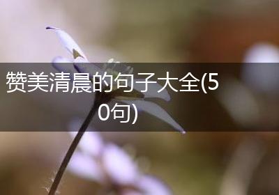 赞美清晨的句子大全(50句)