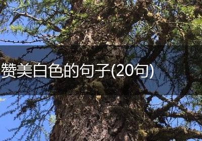 赞美白色的句子(20句)