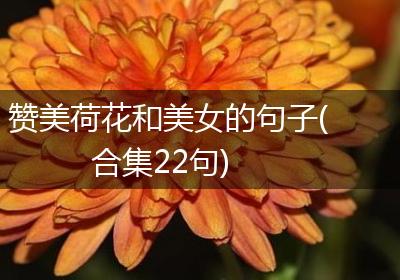 赞美荷花和美女的句子(合集22句)