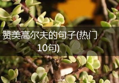 赞美高尔夫的句子(热门10句)