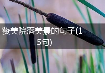 赞美院落美景的句子(15句)